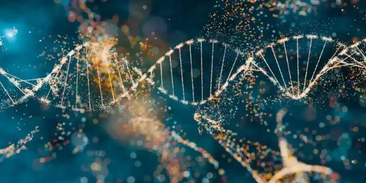 Researchers find transposable elements from ancient viruses regulate gene expression in early human development. - TanyaJoy/iStockphoto/Getty Images