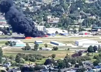 Montana Plane Crash: Pilot and 3 Passengers Escape Flames After Aircraft Collision at Kalispell City Airport Destroys Two Planes - Scott Carpenter/TMX
