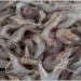 Walmart Shrimp Recall: FDA Confirms Cesium-137 Contamination in Imported Seafood, Issues Nationwide Consumer Safety Warning - FOX News / Fox Business