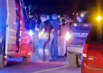 Domestic Disturbance in Box Elder County Turns Deadly: Two Utah Police Officers Killed, Deputy and K9 Recovering After Late-Night Shooting - FOX13 Salt Lake City KSTU