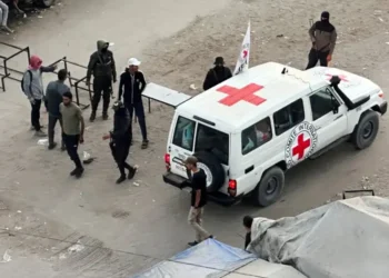 Israeli Hostages Freed as Red Cross Oversees Handover in Gaza - Reuters