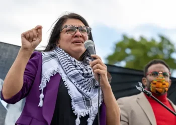 Rashida Tlaib’s Campaign Spent $36,000 on Luxury Limo Services, FEC Records Show - Amanda Andrade-Rhoades/AP Photo