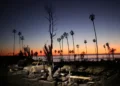 Man Charged with Starting Palisades Fire, Los Angeles’ Deadliest Blaze - AP Photo/Ethan Swope, file
