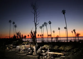 Man Charged with Starting Palisades Fire, Los Angeles’ Deadliest Blaze - AP Photo/Ethan Swope, file