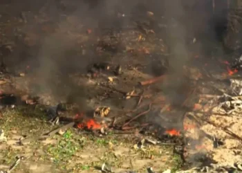 Tennessee Military Explosives Plant Explosion Leaves 19 Missing - WTVF-TV via AP