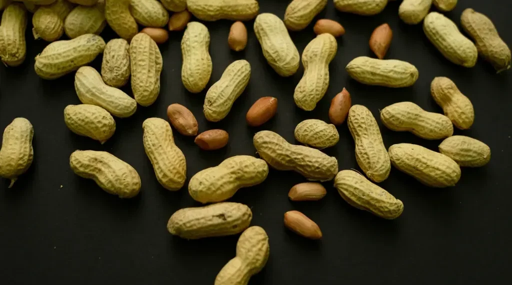 Early Peanut Feeding Helped 60,000 Kids Avoid Allergies, Study Finds - AP Photo/Patrick Sison, File