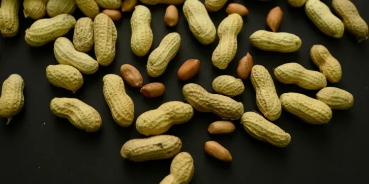 Early Peanut Feeding Helped 60,000 Kids Avoid Allergies, Study Finds - AP Photo/Patrick Sison, File