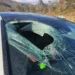 North Carolina Driver Claims Bald Eagle Dropped Cat Through Windshield, Officials Investigate - N.C State Highway Patrol Public Information Office via AP