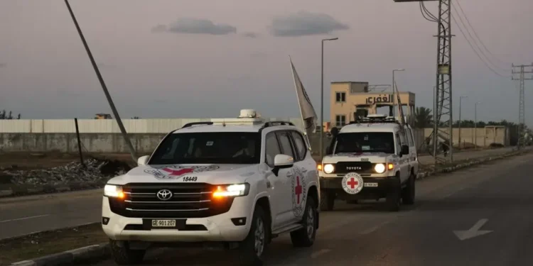 Israeli officials confirm identification of hostage remains amid ceasefire talks - AP Photo/Abdel Kareem Hana