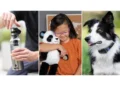 8 Innovative Gifts You Didn’t Know You Needed This Season - Aerflo/Pause with Panda/PetPace via AP