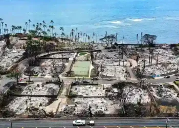 Experts Explain How to Travel Responsibly After a Natural Disaster - Getty Images via BBC