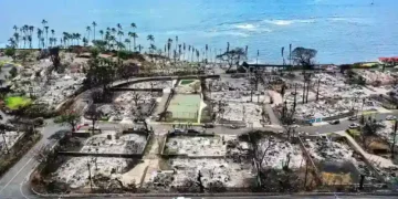 Experts Explain How to Travel Responsibly After a Natural Disaster - Getty Images via BBC