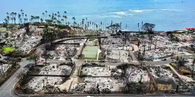 Experts Explain How to Travel Responsibly After a Natural Disaster - Getty Images via BBC