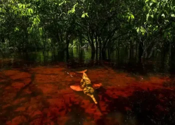 Amazon’s Pink Dolphins Caught Stealing Fish in Rare Underwater Photos - Thomas Peschak via BBC