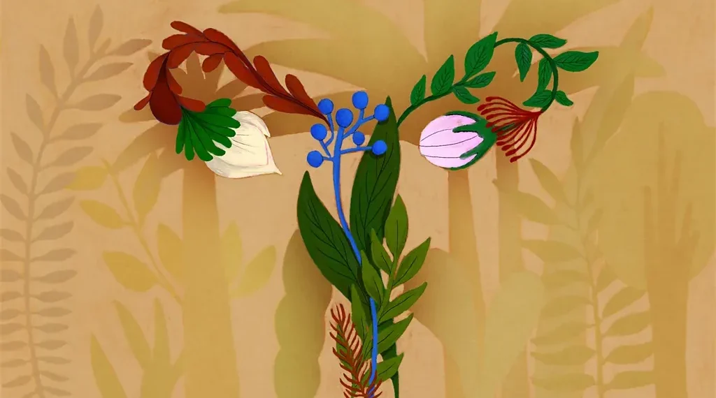 Lactobacillus bacteria support vaginal and reproductive health - Prashanti Aswani/BBC