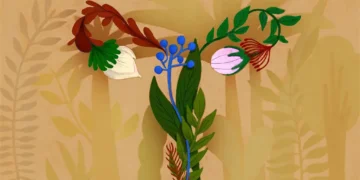 Lactobacillus bacteria support vaginal and reproductive health - Prashanti Aswani/BBC