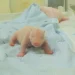Newborn panda cub cared for at Indonesia safari park - Taman Safari Indonesia via AP