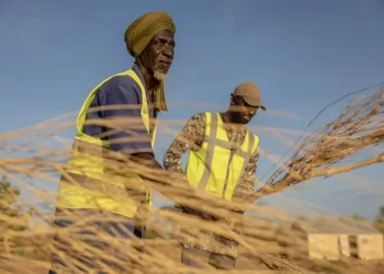 Refugee firefighters training with branches in Mauritania desert - AP Photo/Caitlin Kelly