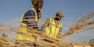 Refugee firefighters training with branches in Mauritania desert - AP Photo/Caitlin Kelly
