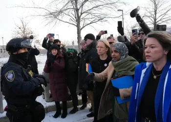 U.S. Capitol and ICE detention facility oversight dispute - AP Photo/Adam Gray