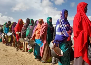 Mogadishu port where World Food Programme warehouse was demolished - AP Photo/Farah Abdi Warsameh, File