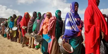 Mogadishu port where World Food Programme warehouse was demolished - AP Photo/Farah Abdi Warsameh, File