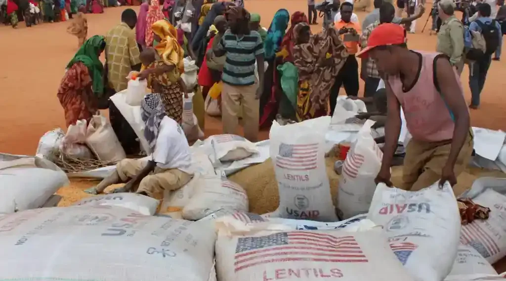 US aid suspended in Somalia after food seizure - AP Photo/Jason Straziuso, file