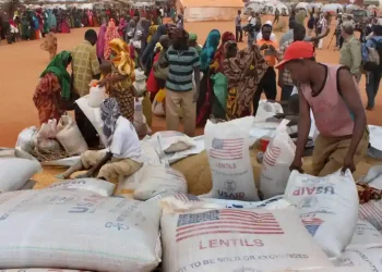 US aid suspended in Somalia after food seizure - AP Photo/Jason Straziuso, file