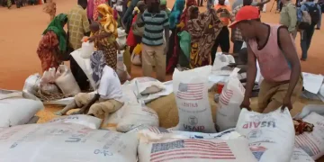 US aid suspended in Somalia after food seizure - AP Photo/Jason Straziuso, file