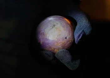 Massive purple star sapphire unveiled in Colombo, Sri Lanka - AP Photo/Eranga Jayawardena