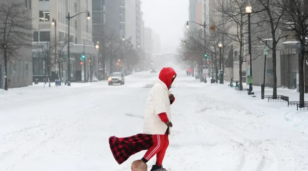 Ice-covered trees and roads during widespread U.S. winter storm - AP Photo/Julia Demaree Nikhinson