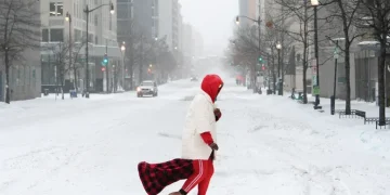 Ice-covered trees and roads during widespread U.S. winter storm - AP Photo/Julia Demaree Nikhinson