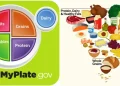 Inverted U.S. food pyramid highlighting meat, dairy, fruits and vegetables - USDA