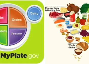 Inverted U.S. food pyramid highlighting meat, dairy, fruits and vegetables - USDA