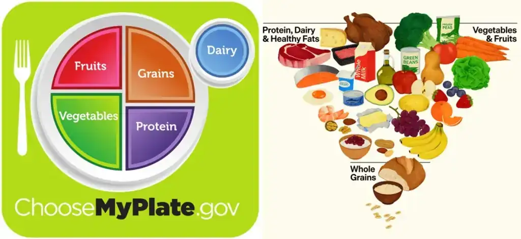 Inverted U.S. food pyramid highlighting meat, dairy, fruits and vegetables - USDA