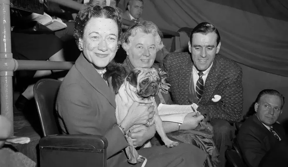 Historic and modern Westminster Dog Show dogs and handlers - AP Photo/Jacob Harris, File