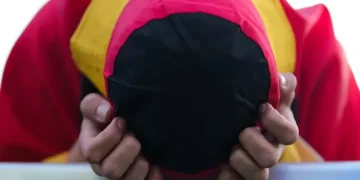 Illustration of adrenal glands and cortisol regulation in the human body - AP Photo/Markus Schreiber, File