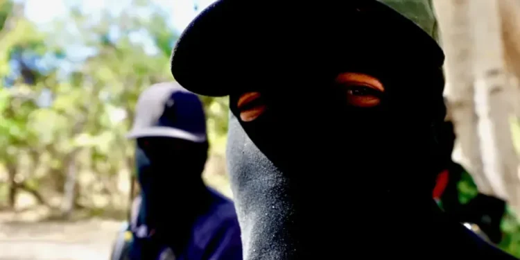 Armed soldiers patrol Culiacán amid escalating cartel violence - Darren Conway/BBC