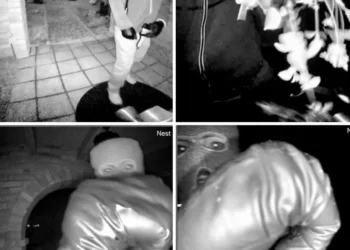 Masked individual seen on porch in Nancy Guthrie video footage - FBI via AP