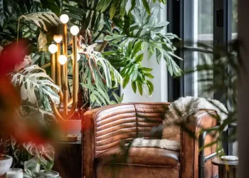 Cozy corner chair surrounded by indoor plants and warm lighting - Hilton Carter via AP
