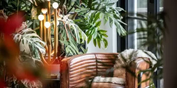 Cozy corner chair surrounded by indoor plants and warm lighting - Hilton Carter via AP