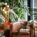 Cozy corner chair surrounded by indoor plants and warm lighting - Hilton Carter via AP