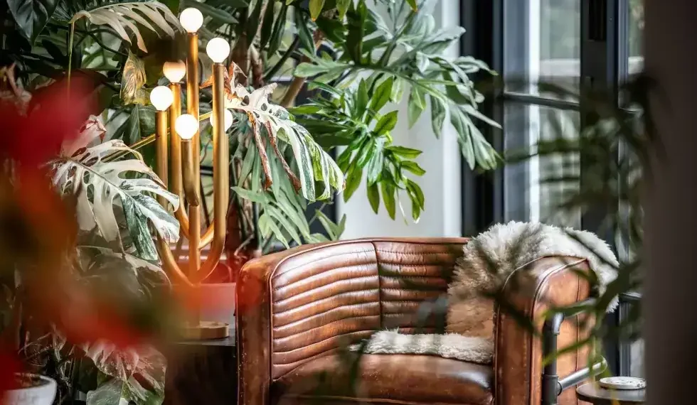 Cozy corner chair surrounded by indoor plants and warm lighting - Hilton Carter via AP