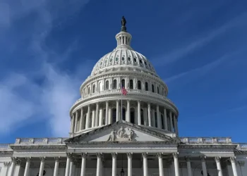 U.S. Capitol during partial government shutdown affecting federal agencies - AP Photo/Rahmat Gul