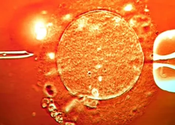 Genetic illustration of TP53 mutation linked to inherited cancer - image credit Shutterstock/BBC