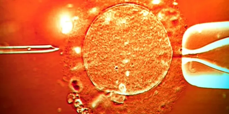 Genetic illustration of TP53 mutation linked to inherited cancer - image credit Shutterstock/BBC