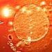 Genetic illustration of TP53 mutation linked to inherited cancer - image credit Shutterstock/BBC