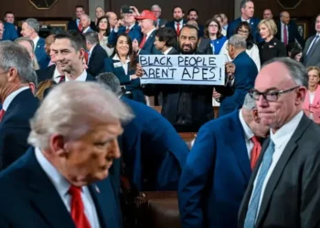 President Trump delivering record State of the Union address- Democratic Congressman Al Greene/EPA/BBC