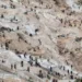Rubaya coltan mine site in eastern Congo after deadly mining collapse - AP Photo/Moses Sawasawa, File
