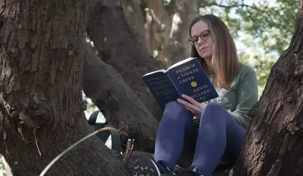 People practicing forest bathing in a calm urban green park - AP Photo/Allen G. Breed